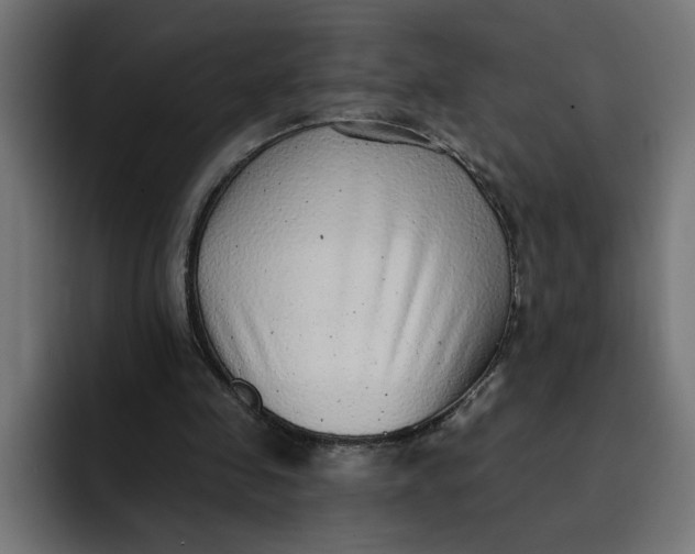 X0000092040341200710031028