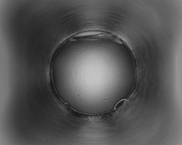 X0000092040345200710031028