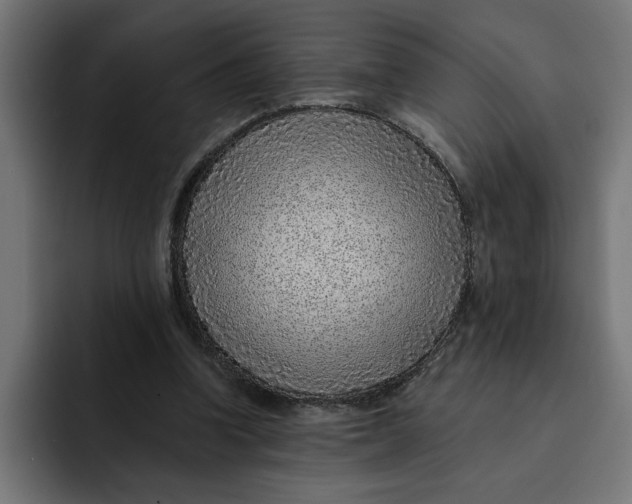 X0000092040346200710031028