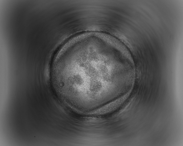 X0000092040347200710031028