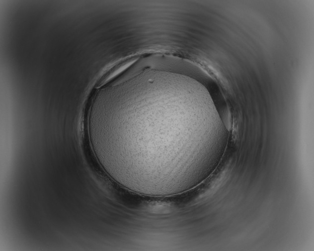 X0000092040348200710031028