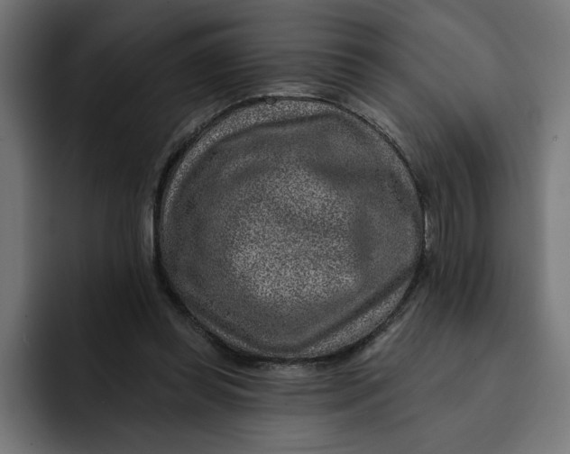 X0000092040349200710031028