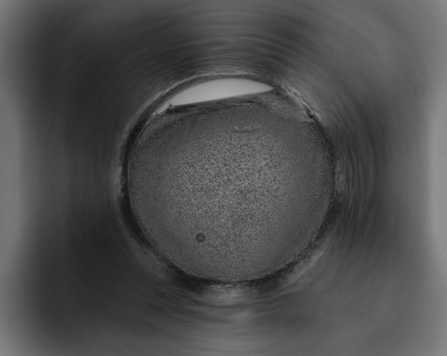 X0000092040351200710031028