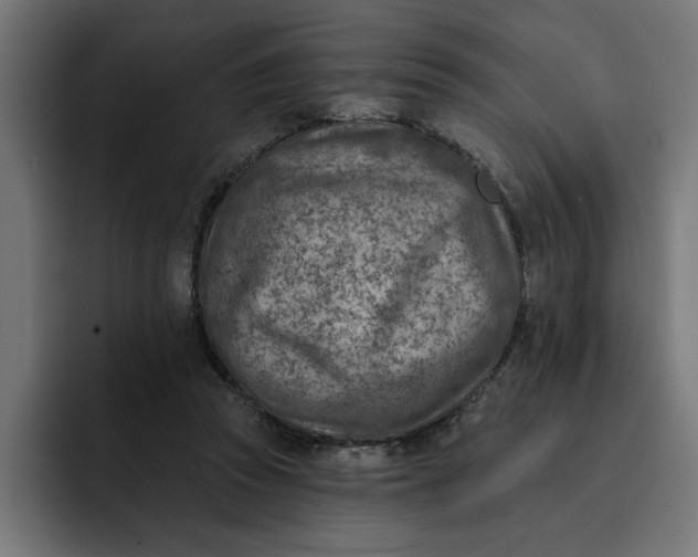 X0000092040353200710031028