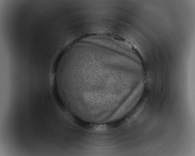 X0000092040355200710031029