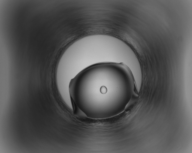 X0000092040356200710031029