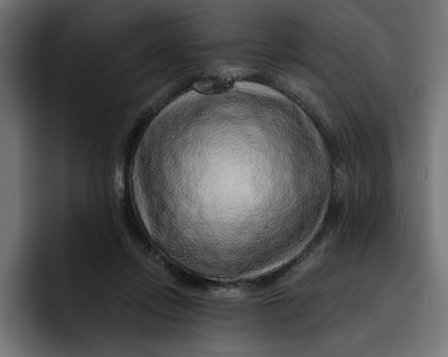 X0000092040358200710031029