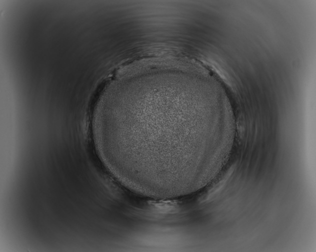 X0000092040359200710031029