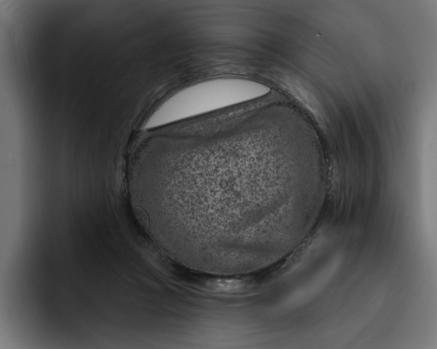 X0000092040361200710031029