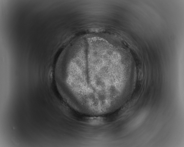 X0000092040363200710031029