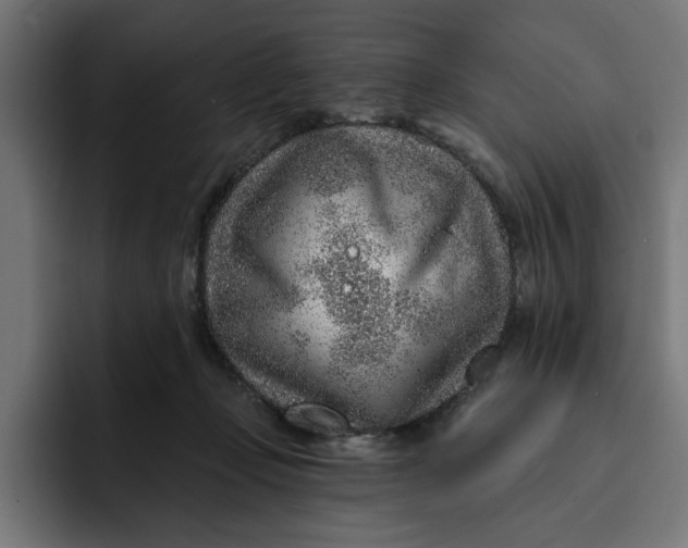 X0000092040365200710031029