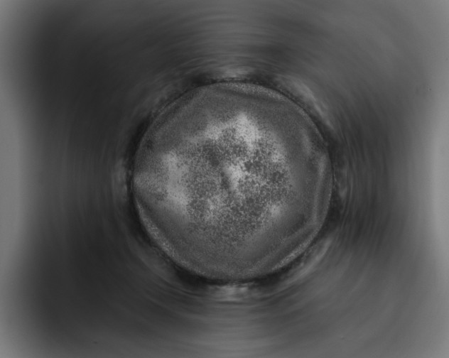 X0000092040366200710031029