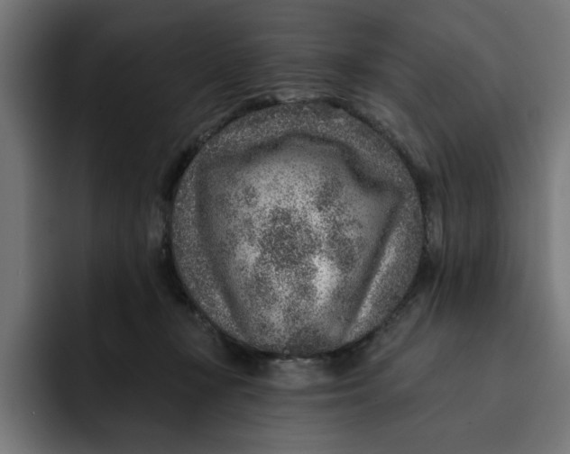 X0000092040367200710031029