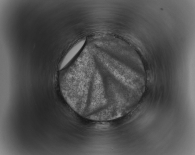 X0000092040369200710031029