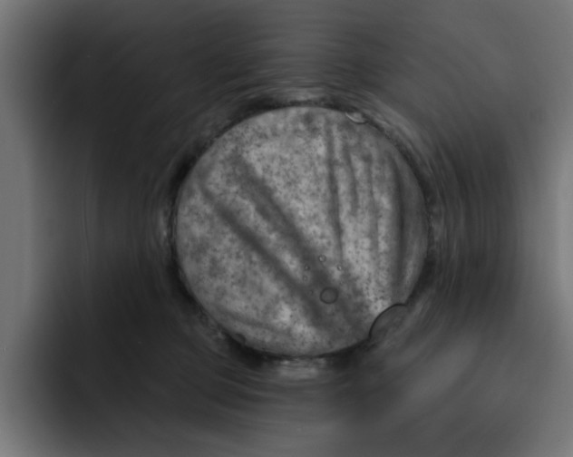 X0000092040373200710031029