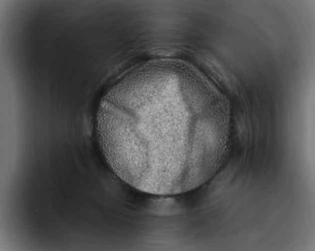 X0000092040374200710031029