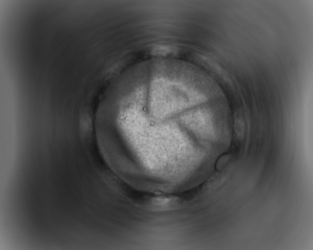 X0000092040375200710031029