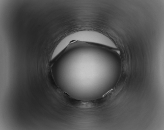 X0000092040376200710031029