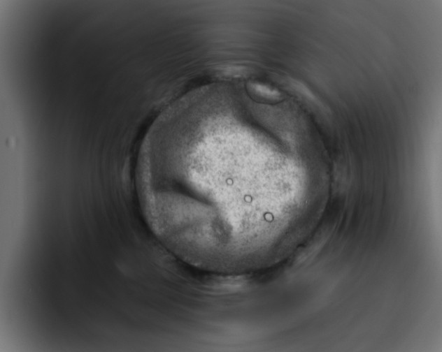 X0000092040377200710031029