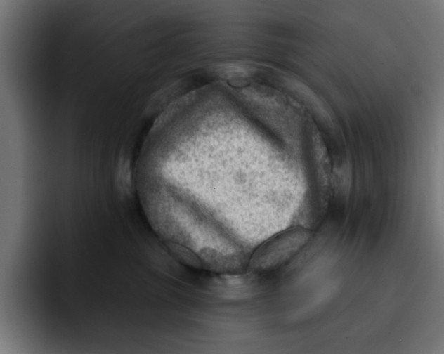 X0000092040381200710031029