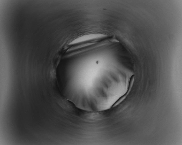 X0000092040384200710031029