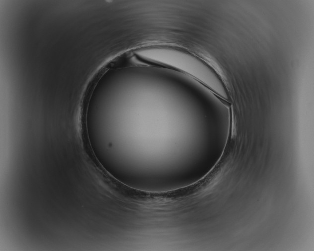 X0000092040387200710031028