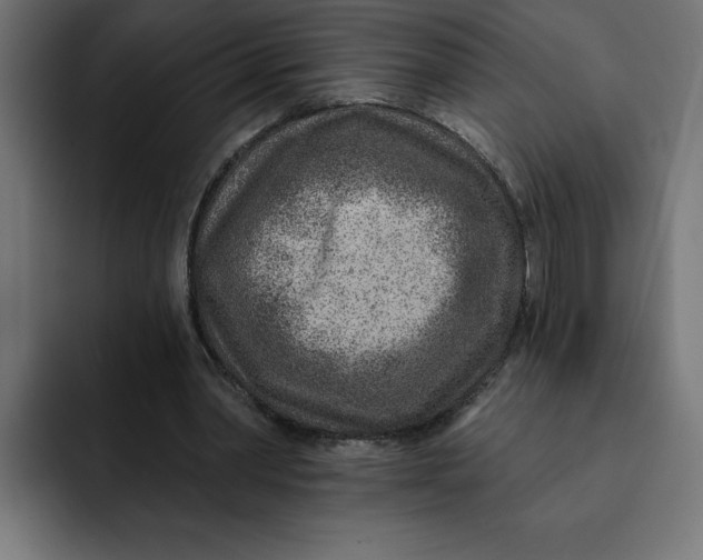 X0000092040390200710031028