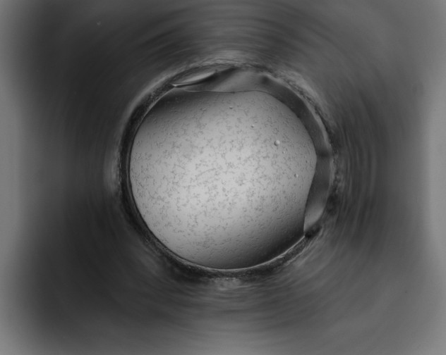 X0000092040392200710031028