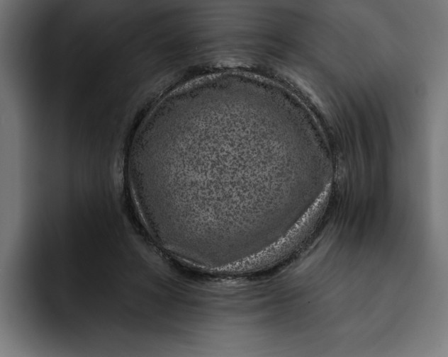 X0000092040402200710031028