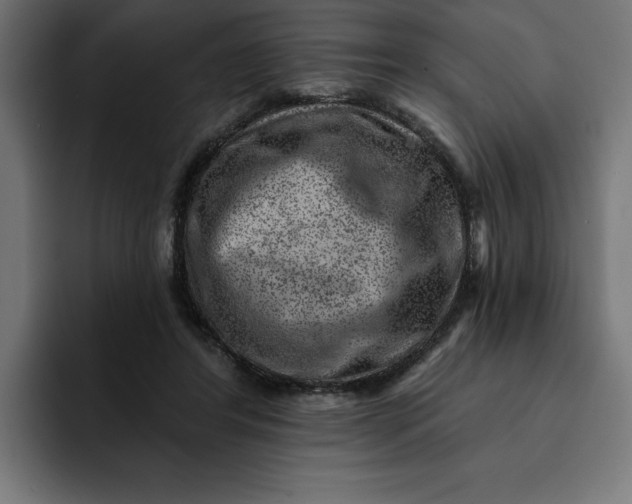 X0000092040404200710031028