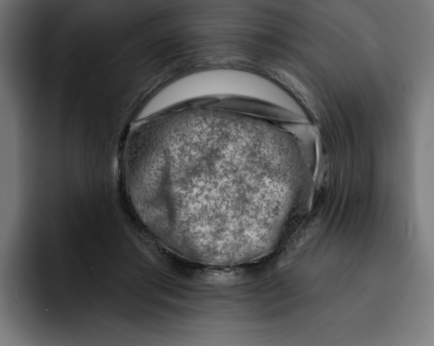 X0000092040405200710031028