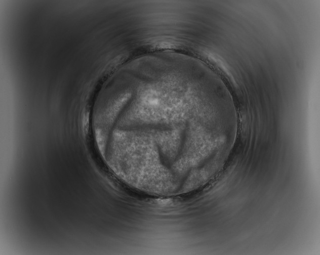 X0000092040406200710031028