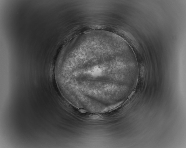 X0000092040409200710031028