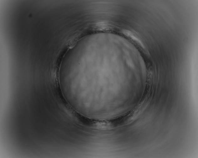 X0000092040415200710031028