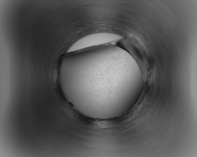 X0000092040417200710031028