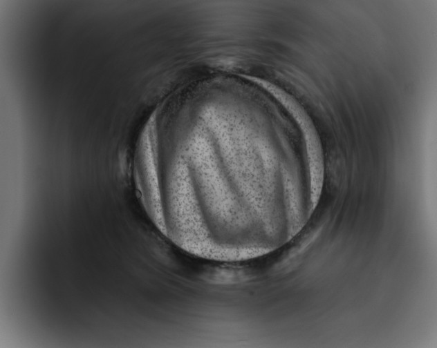 X0000092040420200710031028