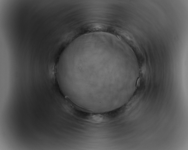 X0000092040423200710031028