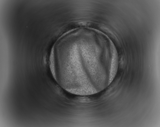 X0000092040424200710031028