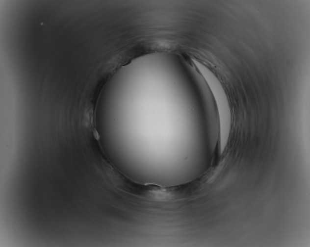 X0000092040425200710031028