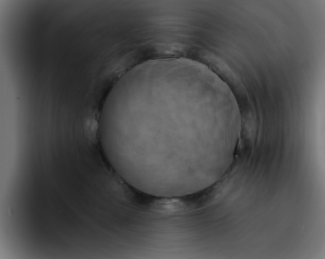 X0000092040427200710031028