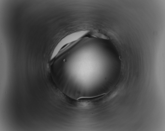 X0000092040432200710031028