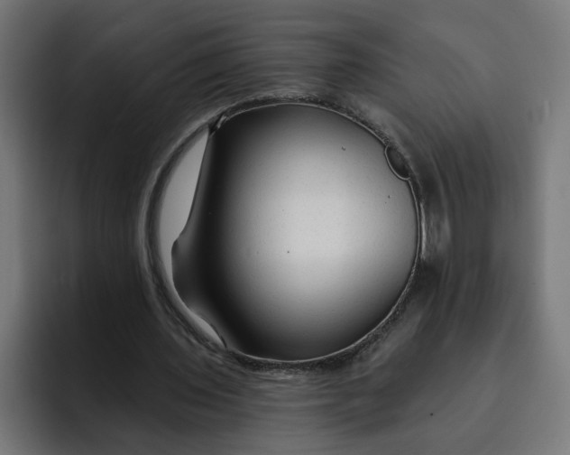 X0000092040435200710031027