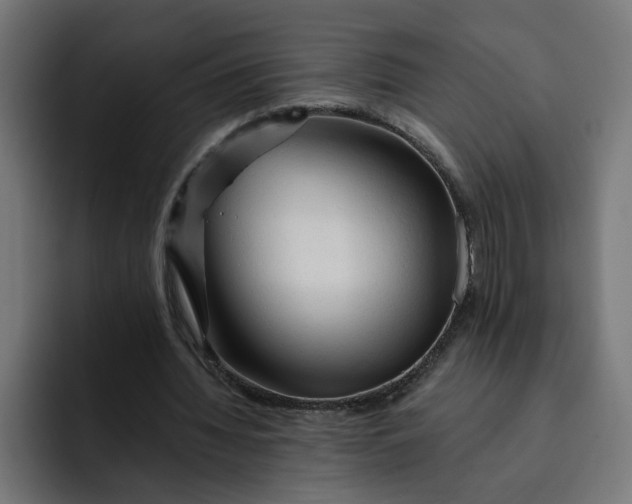 X0000092040436200710031027