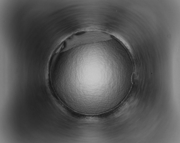 X0000092040437200710031027