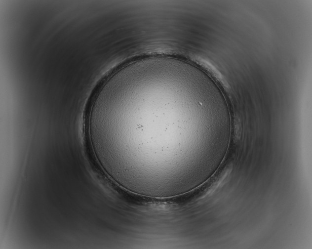 X0000092040439200710031027