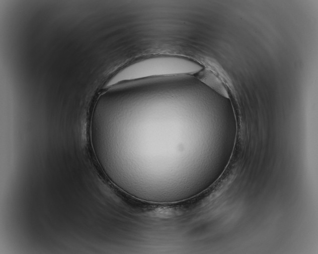 X0000092040441200710031027