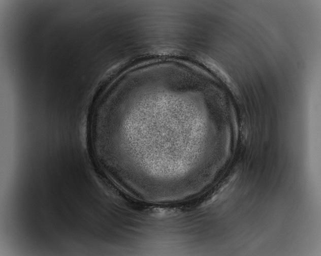 X0000092040442200710031027