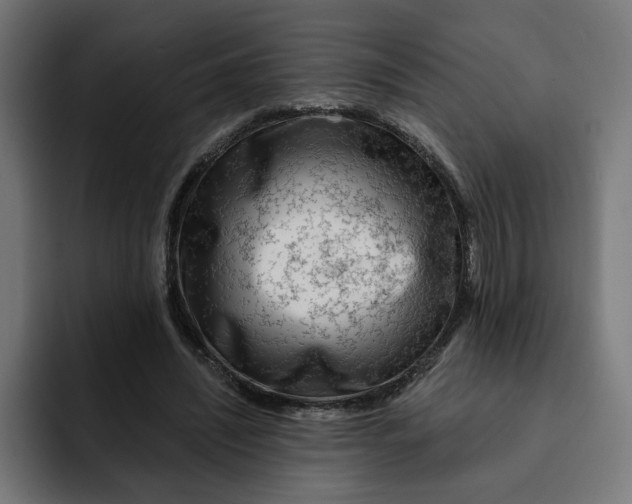 X0000092040444200710031027