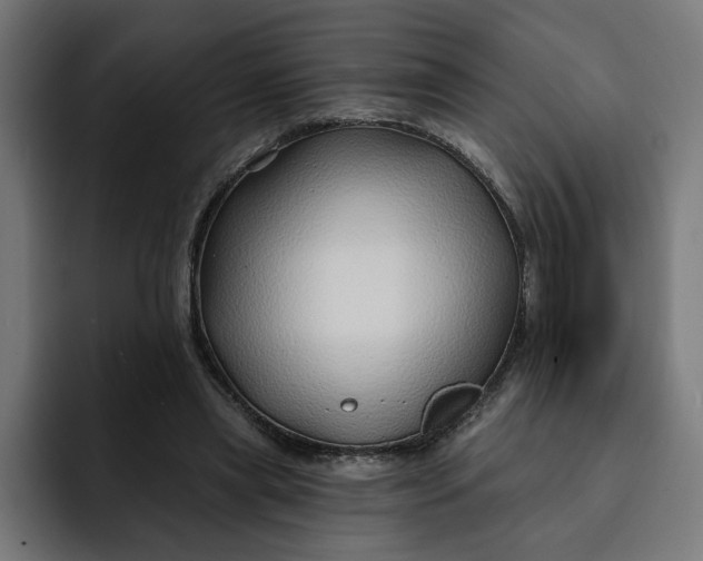 X0000092040445200710031027