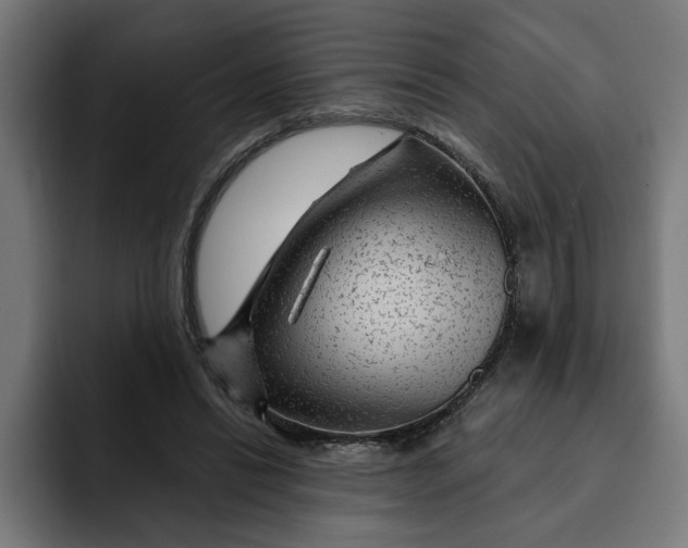 X0000092040446200710031027